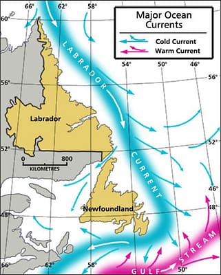 Labrador Current