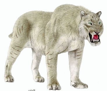 American Lion - Panthera atrox