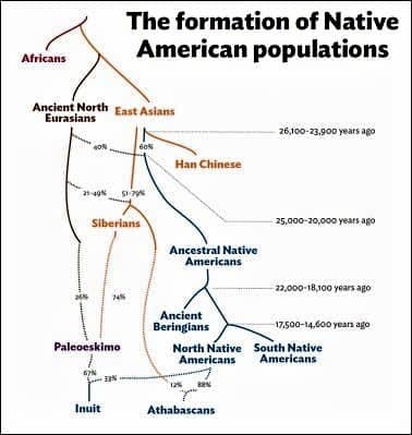 Model of formation for Indigenous American ancestral populations