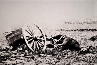 Gettysburg Dead Military Horses 1863-Gettysburg-broken wagon and dead artillery horse