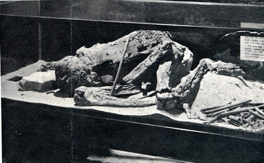 Mammoth Cave prehistoric Indian mummy | USDOI-NPS, 1965 Mammoth Cave prehistoric Indian mummy | USDOI-NPS, 1965