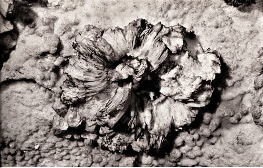 Mammoth Cave gypsum Mammoth Cave gypsum