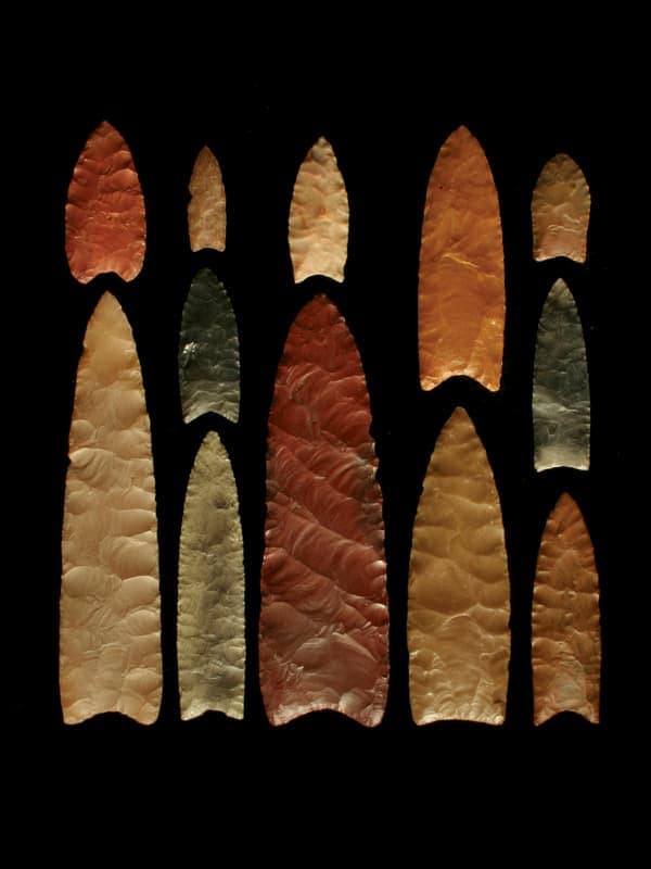 Clovis points from various North American sites - prehistoric humans