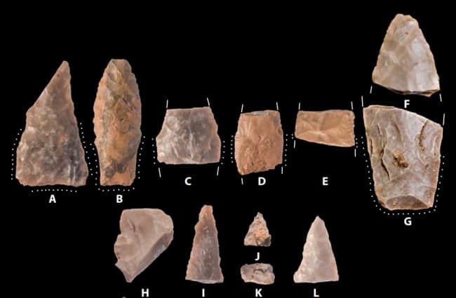 Buttermilk Creek / Debra L. Friedkin site, TX - excavated projectile points - 14,000-yrs old