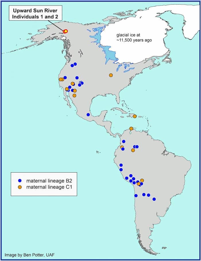 Upward Sun River map of maternal lineage for prehistoric humans