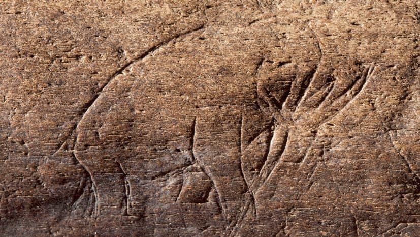 Prehistoric fossilized bone with mammoth/mastodon carving, Vero Beach, Florida